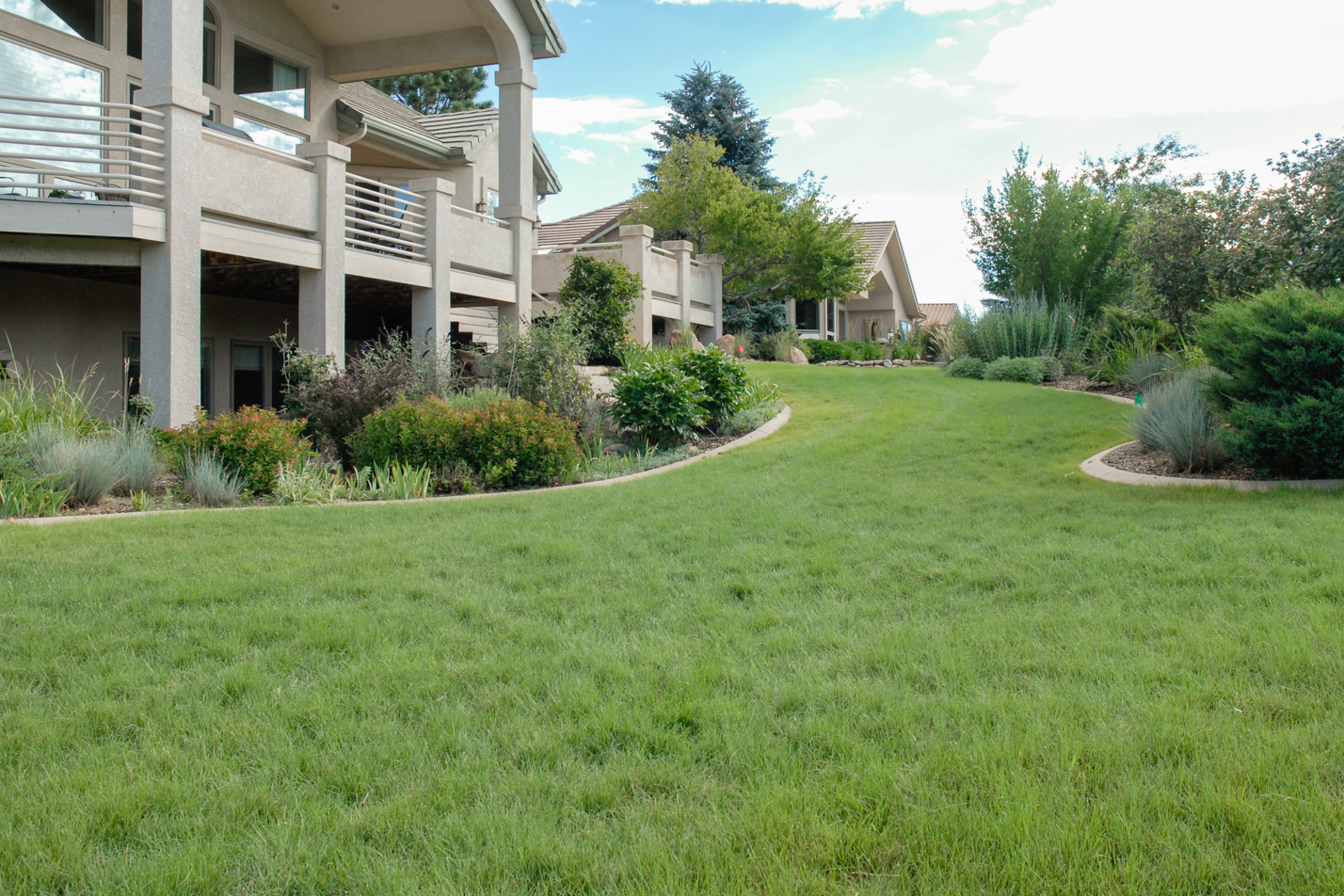 Blue Grama Conversion